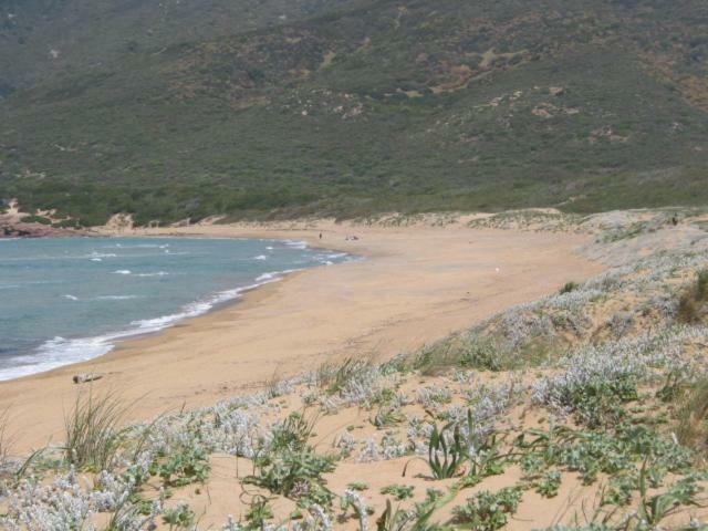 Alghero, Casa Di Roberto Εξωτερικό φωτογραφία